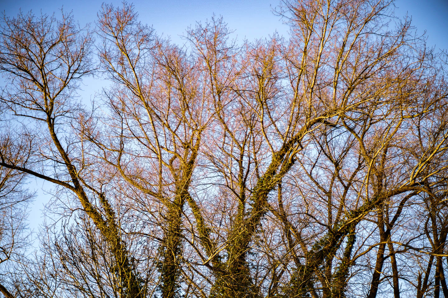 Ein Spaziergang: An der Lesum