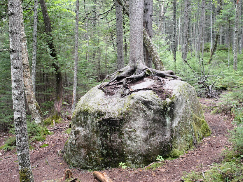 Appalachian Trail: 11. Die letzte Etappe zum Mount Katahdin