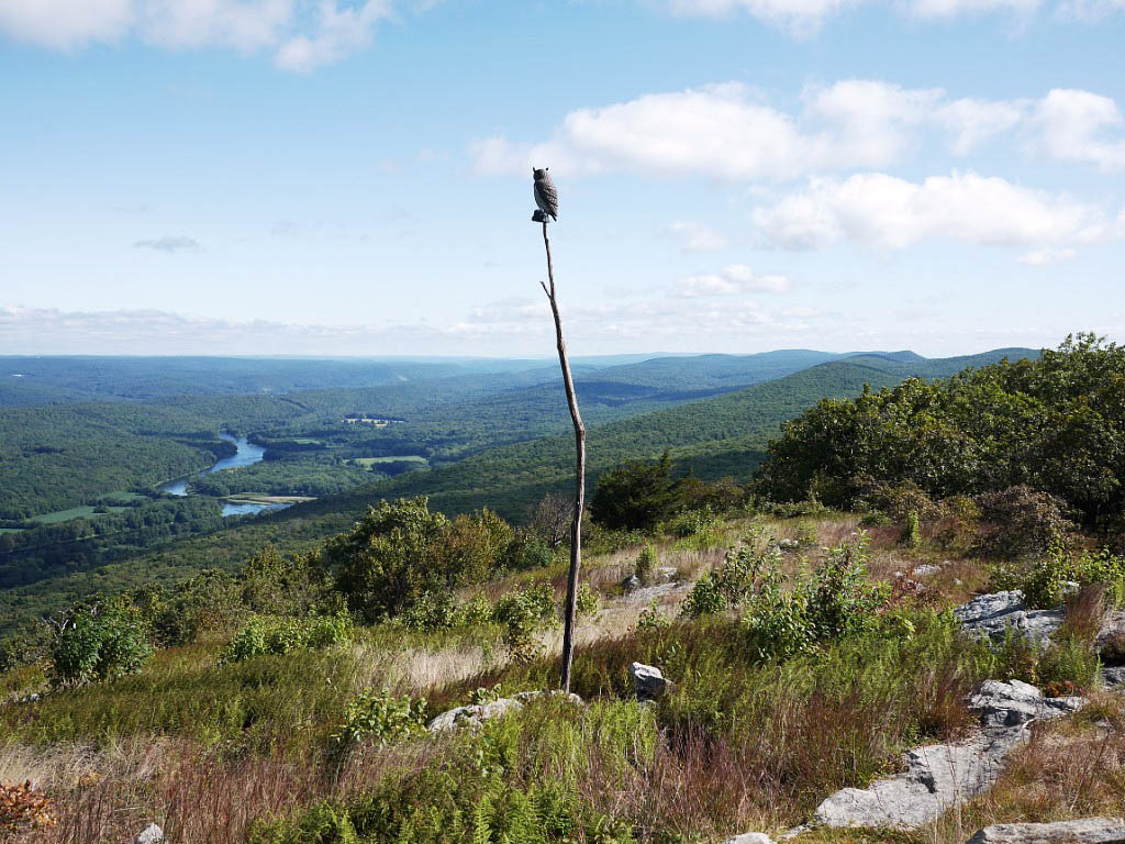 Appalachian Trail: 33. Vom Mohican Outdoor Center zum Eckville Shelter