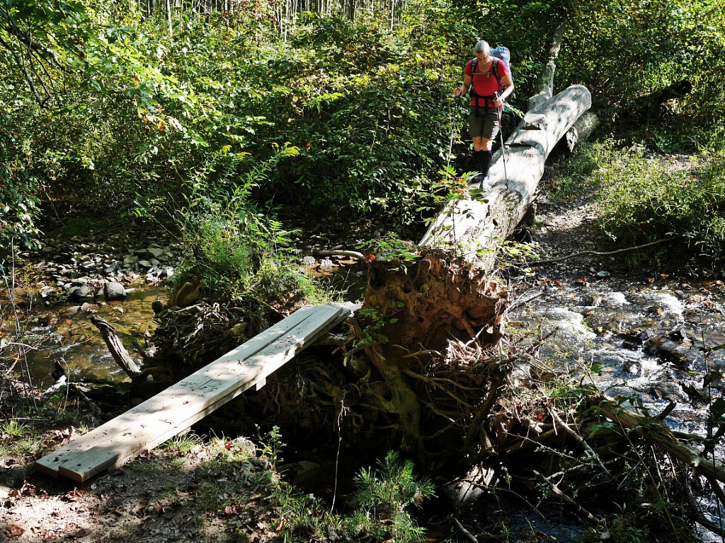 Appalachian Trail: 35. Vom Rock 'n Sole Hostel nach Duncannon