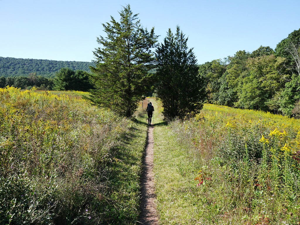 Appalachian Trail: 35. Vom Rock 'n Sole Hostel nach Duncannon