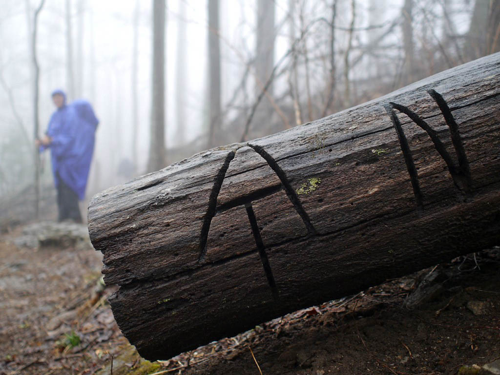 Appalachian Trail: 13. Von Amicalola Falls über Springer Mountain nach Suches