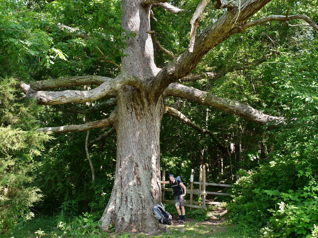 Appalachian Trail: 27. Von Blacksburg nach Daleville