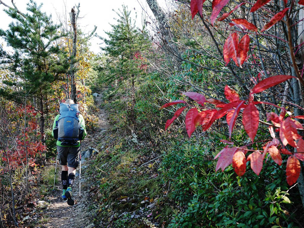 Appalachian Trail: 41. Von Buchanan nach Daleville