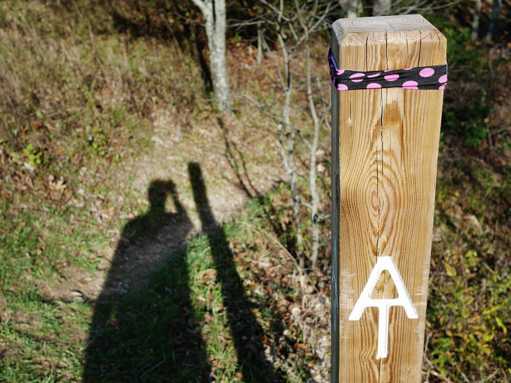 Appalachian Trail: 41. Von Buchanan nach Daleville