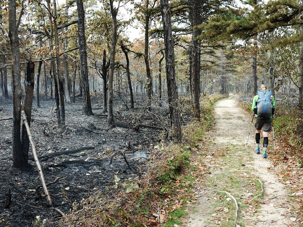 Appalachian Trail: 36. Von Duncannon nach Waynesboro, PA