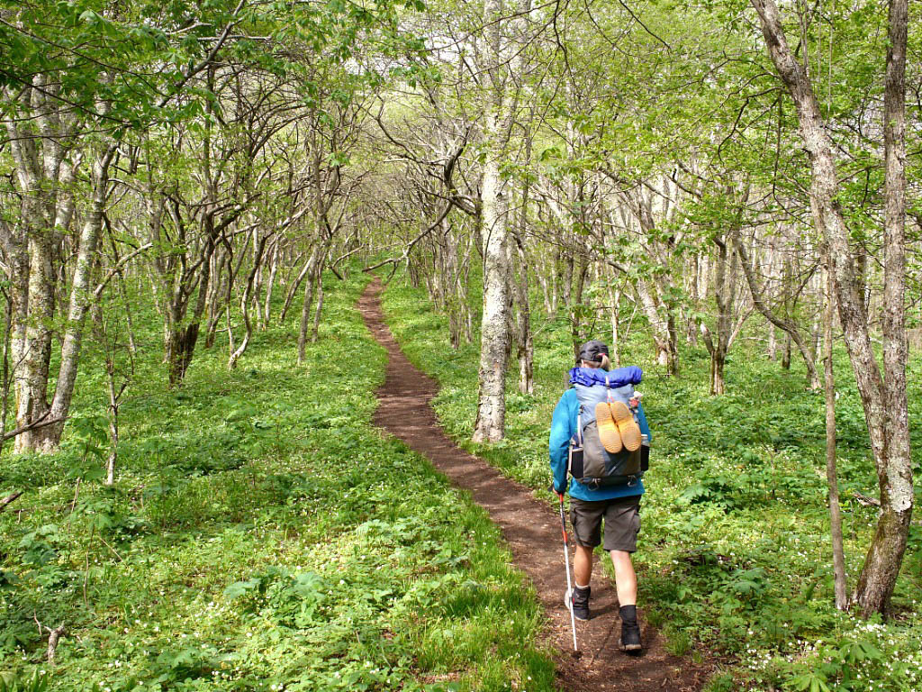 Appalachian Trail: 21. Von Erwin nach Roan Mountain