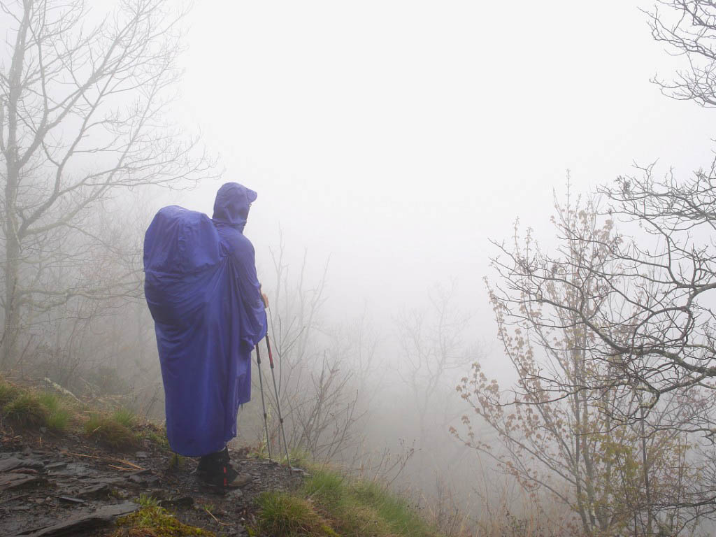 Appalachian Trail: 17. Von Fontana Dam nach Gatlinburg