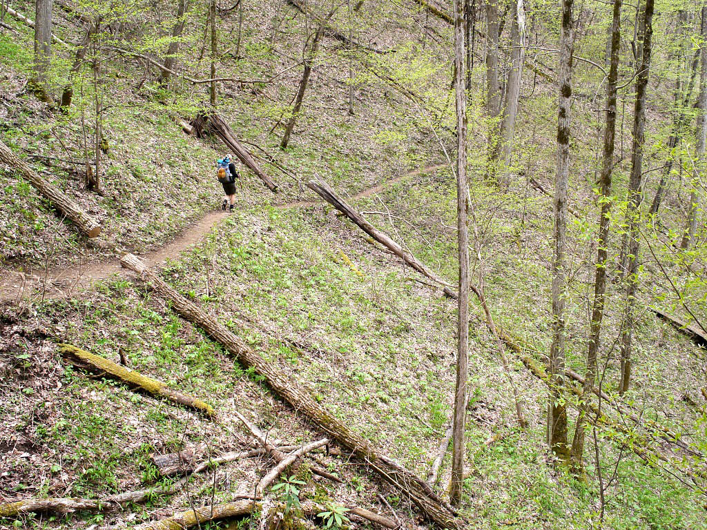 Appalchian Trail: 16. Von Franklin nach Fontana Dam