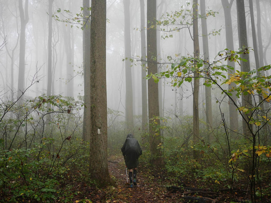 Appalachian Trail: 38. Von Front Royal durch Shenandoah nach Waynesboro, VA