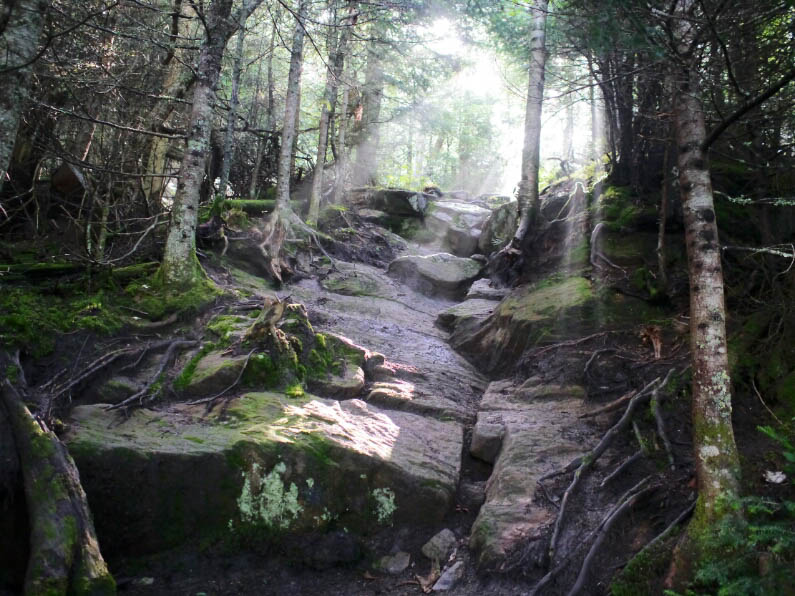 Appalachian Trail: 2. Von Gorham nach Grafton Notch