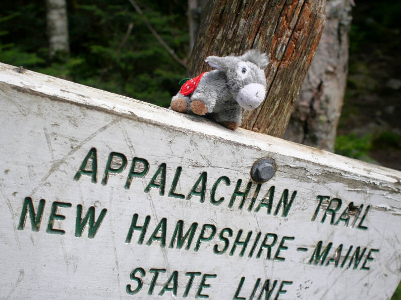 Appalachian Trail: 2. Von Gorham nach Grafton Notch