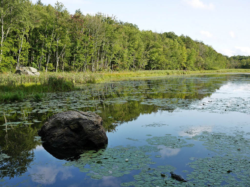 Appalachian Trail: 32. Von Greenwood Lake zum Mohican Outdoor Center