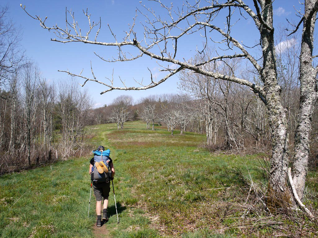 Appalachian Trail: 20. Von Hot Springs nach Erwin