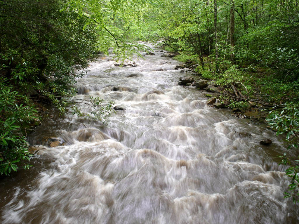 Appalachian Trail: 22. Von Roan Mountain nach Damascus