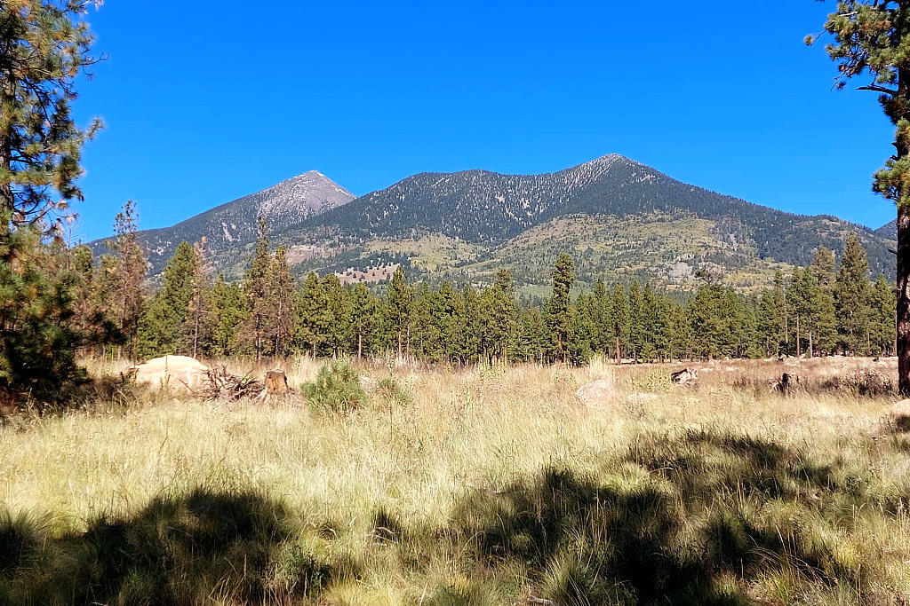 Arizona Trail: 4. Von Flagstaff nach Mormon Lake