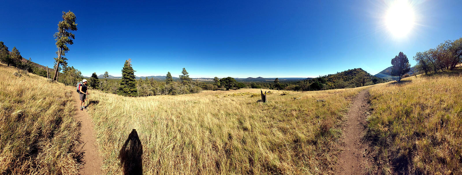 Arizona Trail: 4. Von Flagstaff nach Mormon Lake