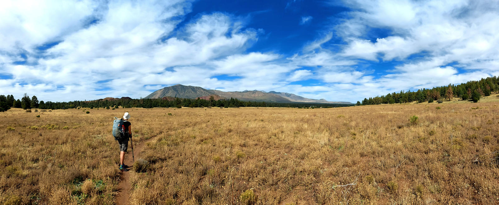 Arizona Trail: 4. Von Flagstaff nach Mormon Lake