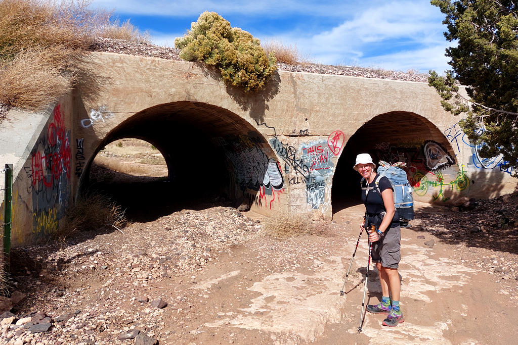 Arizona Trail: 4. Von Flagstaff nach Mormon Lake