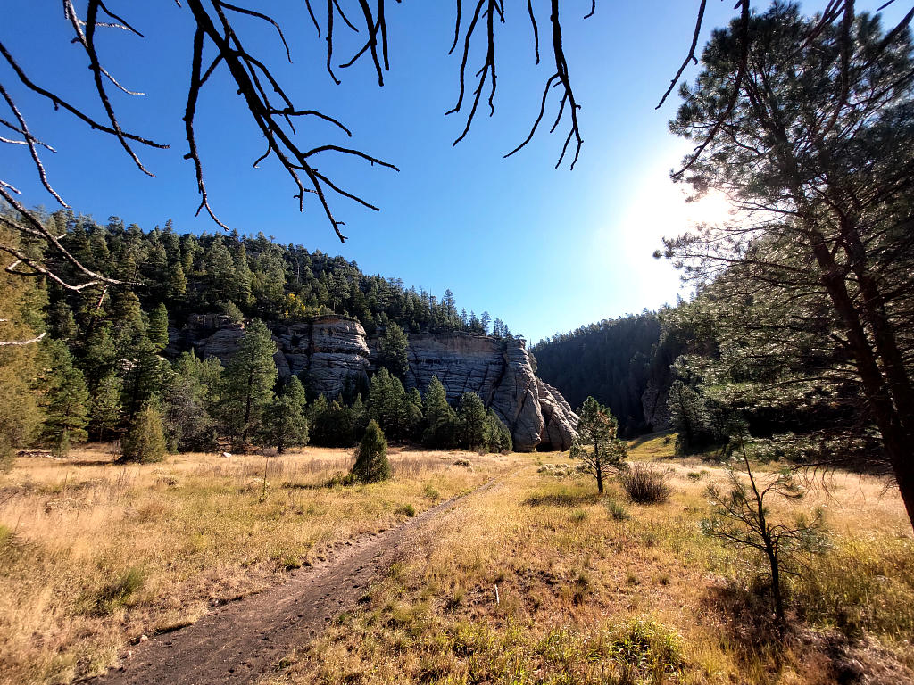 Arizona Trail: 4. Von Flagstaff nach Mormon Lake