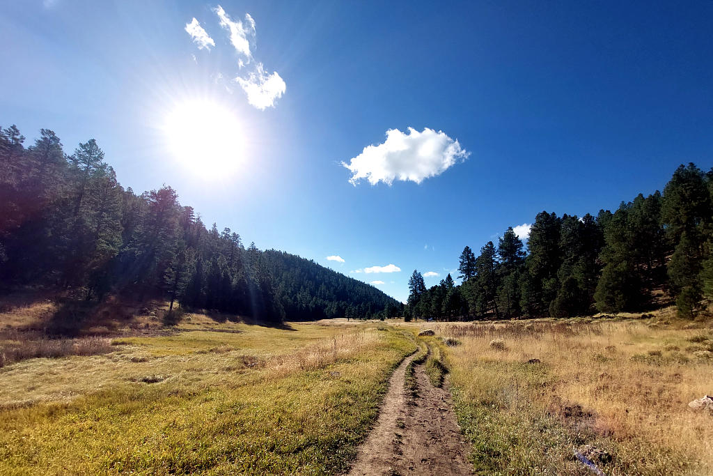 Arizona Trail: 4. Von Flagstaff nach Mormon Lake