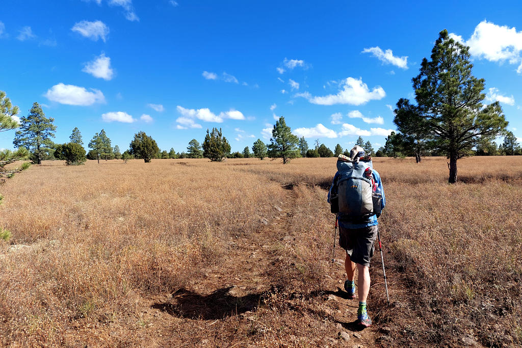 Arizona Trail: 4. Von Flagstaff nach Mormon Lake