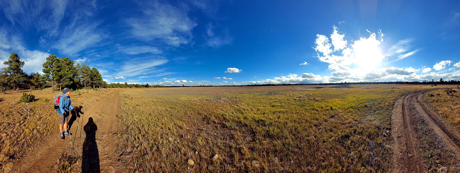 Arizona Trail: 4. Von Flagstaff nach Mormon Lake