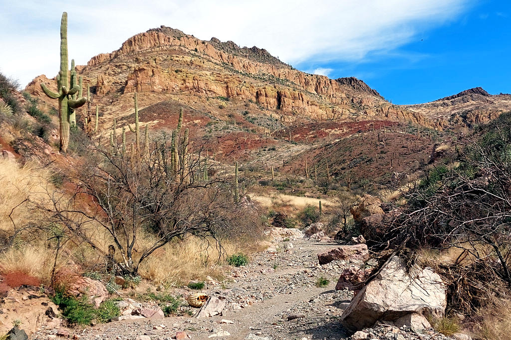 Arizona Trail: 8. Von Superior nach Kearny