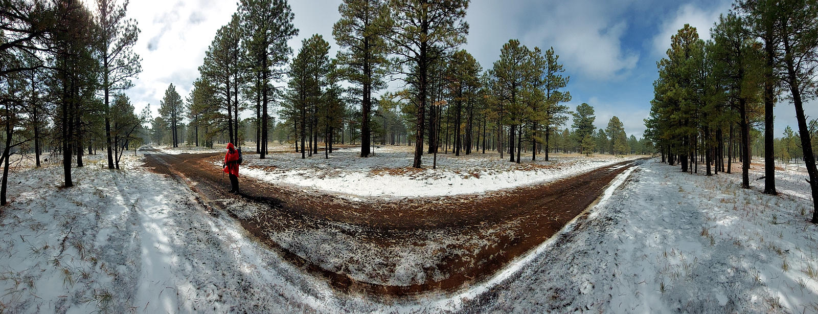 Arizona Trail: 3. Von Tusayan nach Flagstaff