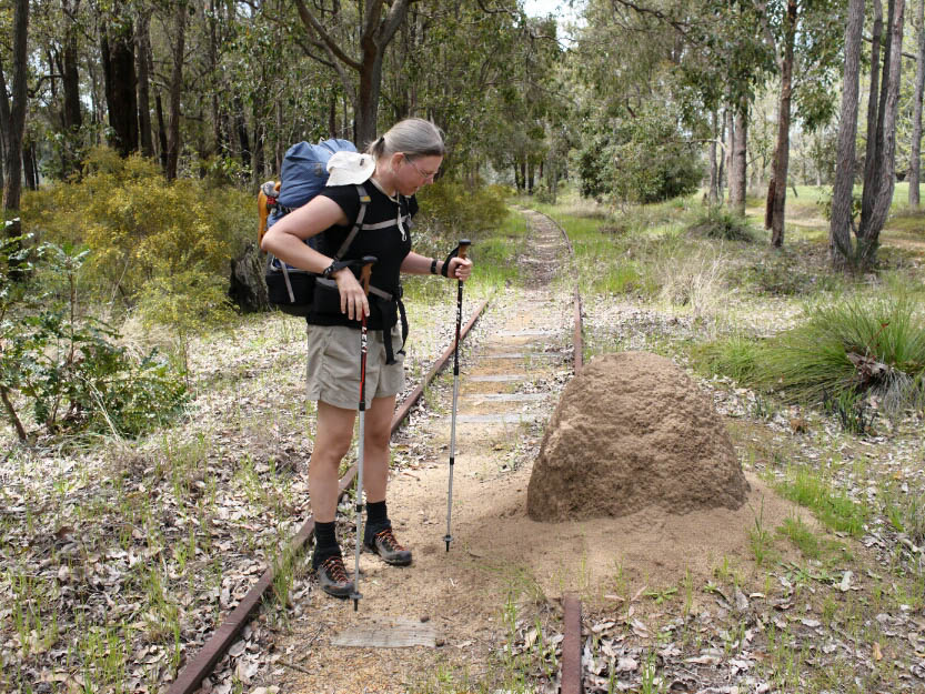 Bibbulmun Track: 7. Collie - Donnelly: Mehr Fotos!