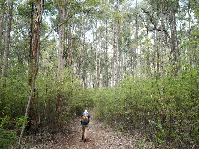 Bibbulmun Track: 7. Collie - Donnelly: Mehr Fotos!