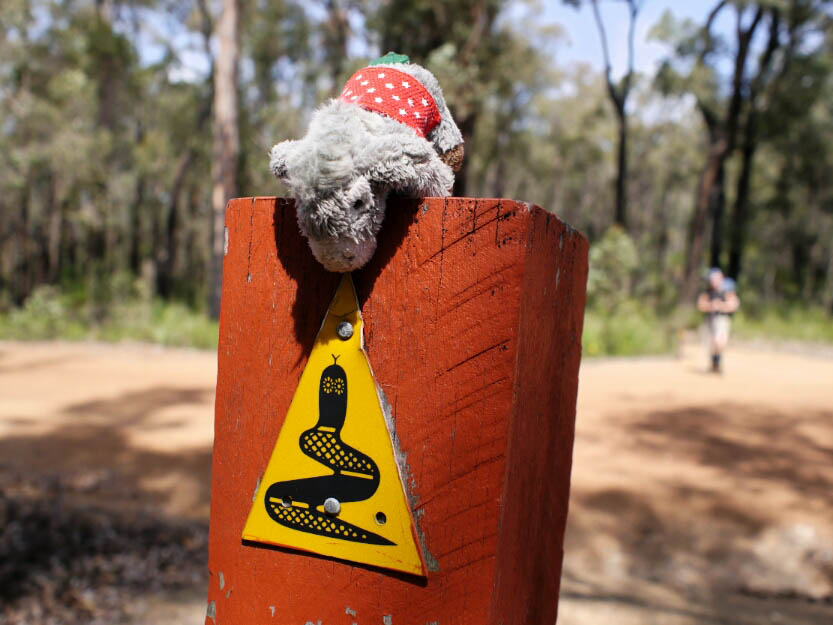 Bibbulmun Track: 4. Mundaring - Dwellingup: Mehr Fotos!