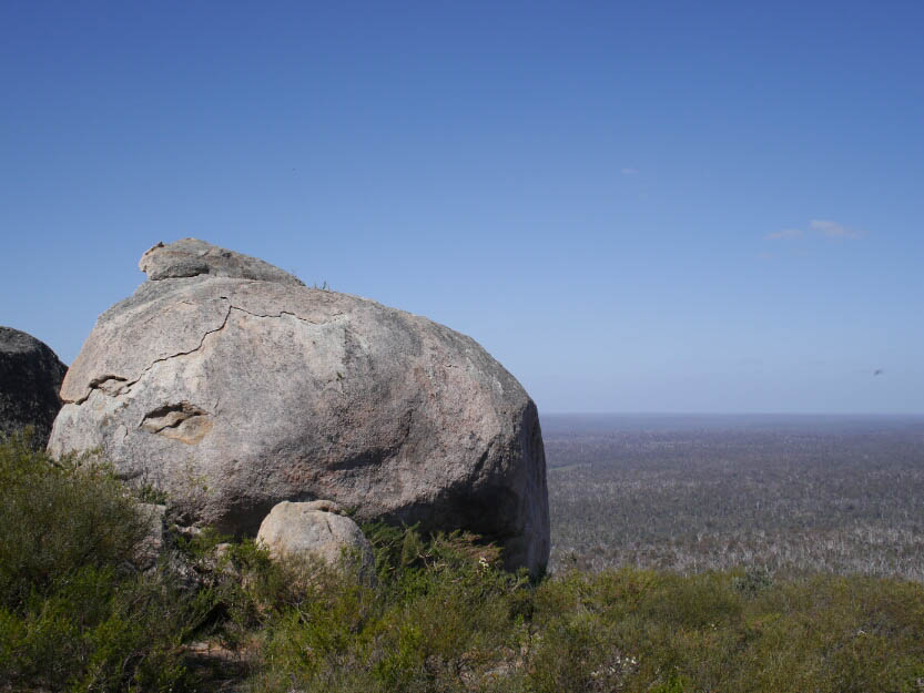 Bibbulmun Track: 4. Mundaring - Dwellingup: Mehr Fotos!