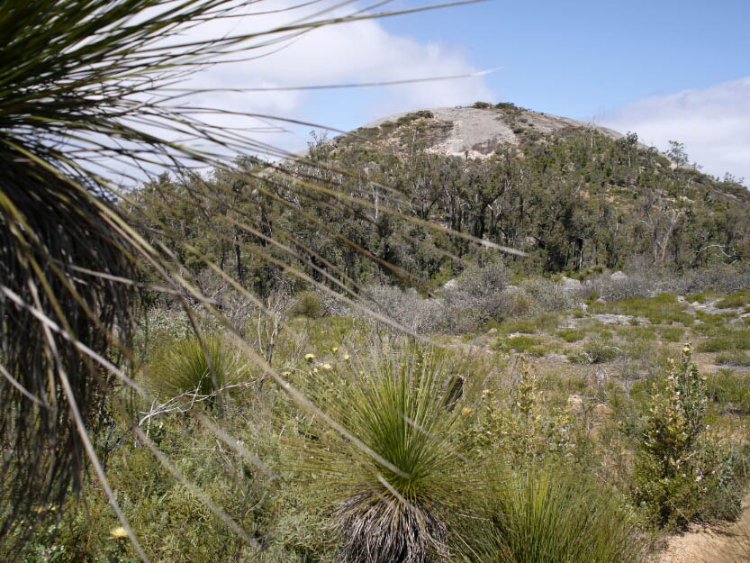 Bibbulmun Track: 4. Mundaring - Dwellingup: Mehr Fotos!