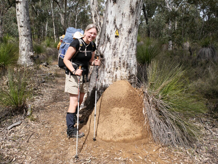 Bibbulmun Track: 4. Mundaring - Dwellingup: Mehr Fotos!