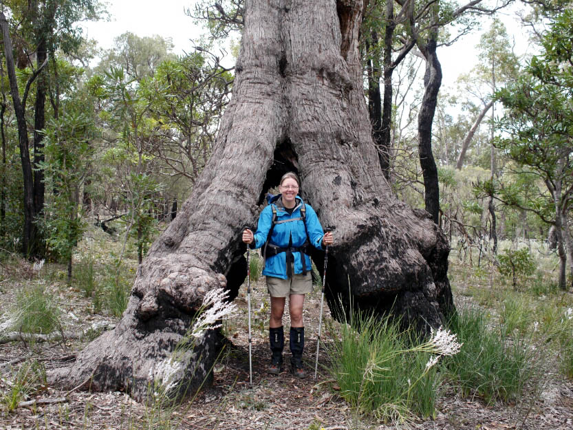 Bibbulmun Track: 4. Mundaring - Dwellingup: Mehr Fotos!