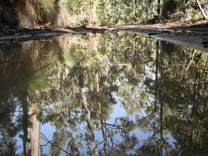 Bibbulmun Track: 4. Mundaring - Dwellingup: Mehr Fotos!