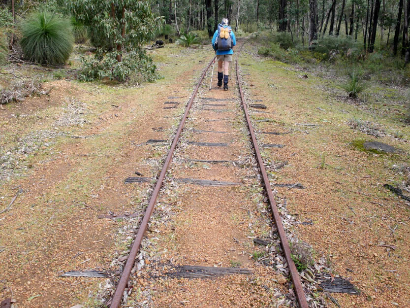 Bibbulmun Track: 4. Mundaring - Dwellingup: Mehr Fotos!