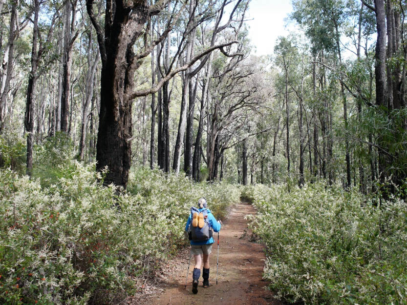 Bibbulmun Track: 4. Mundaring - Dwellingup: Mehr Fotos!