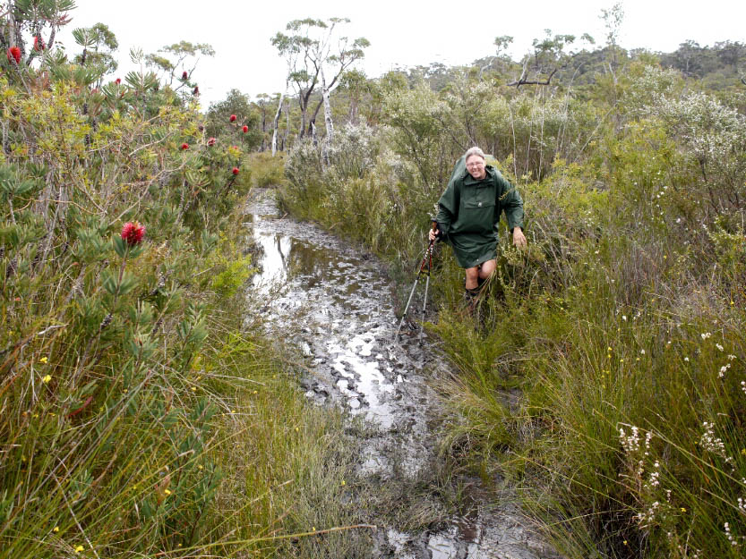 Bibbulmun Track: 10. Von Northcliffe nach Walpole