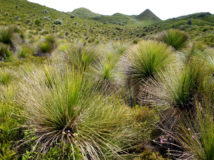 Bibbulmun Track: 10. Von Northcliffe nach Walpole