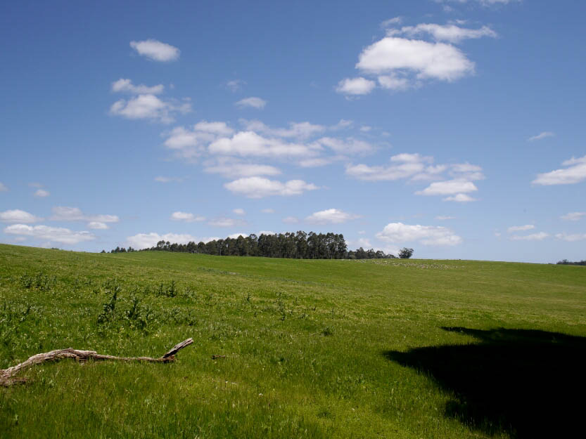 Bibbulmun Track: 9. Von Pemberton nach Northcliffe