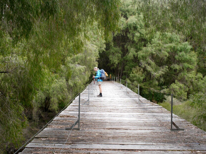 Bibbulmun Track: 9. Von Pemberton nach Northcliffe