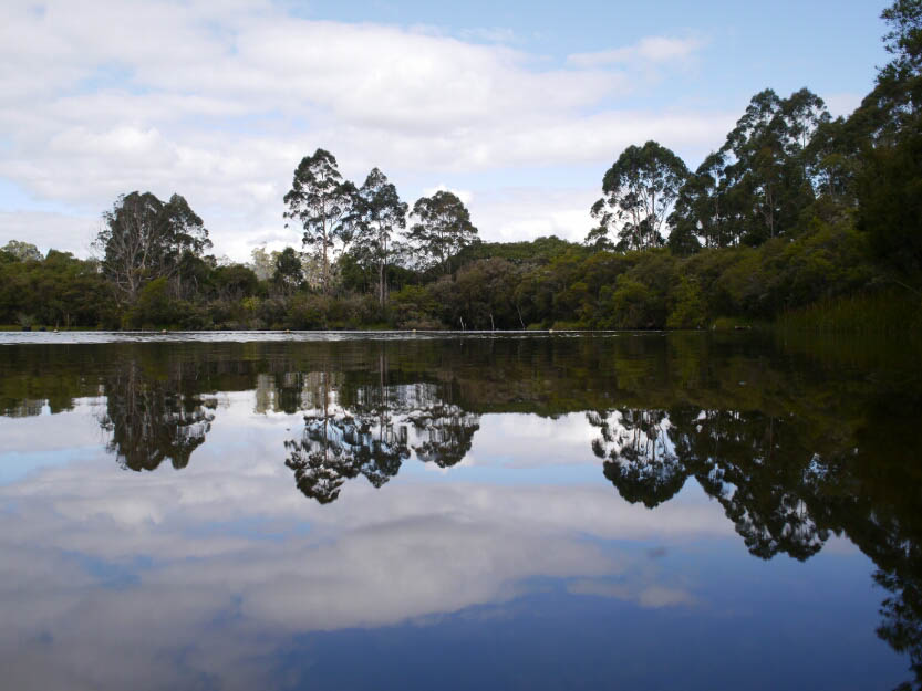 Bibbulmun Track: 9. Von Pemberton nach Northcliffe