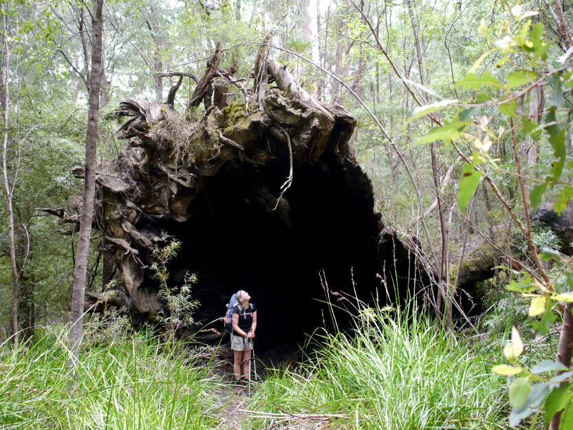 Bibbulmun Track: 12. Von Walpole nach Denmark