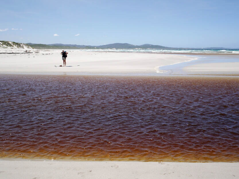 Bibbulmun Track: 12. Von Walpole nach Denmark