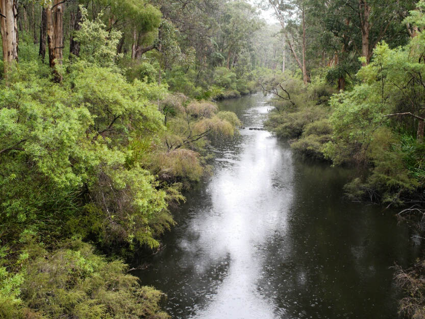 Bibbulmun Track: 8. Vom Donnelly River Village nach Pemberton