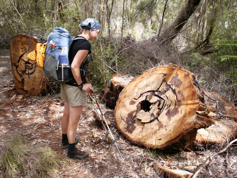 Bibbulmun Track: 8. Vom Donnelly River Village nach Pemberton