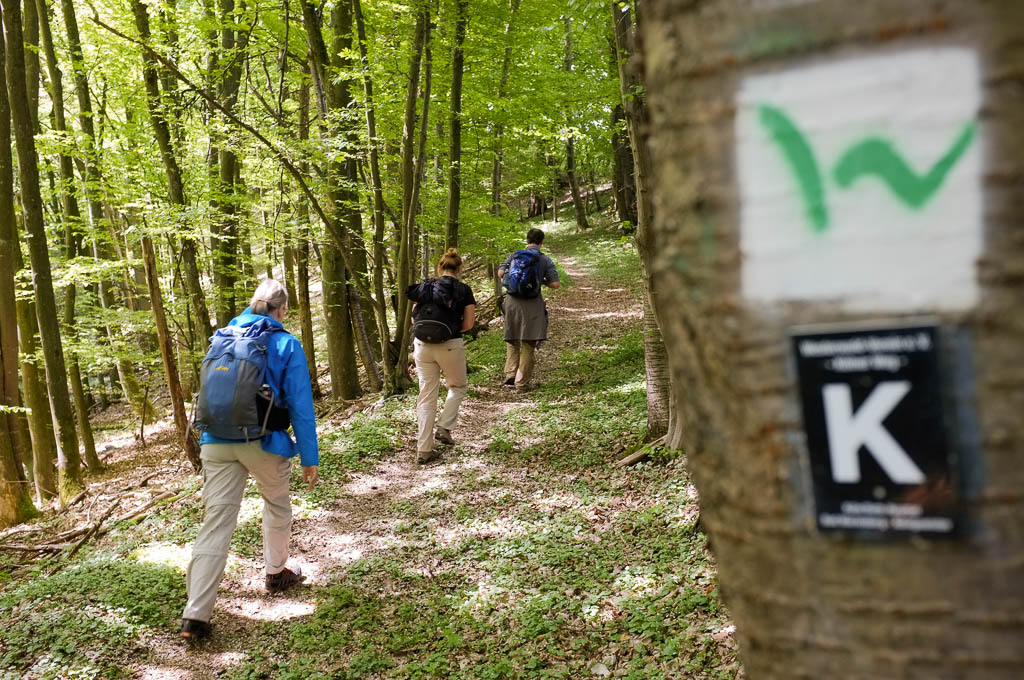 Westerwaldsteig: Drei Tage von Mehren nach Peterslahr