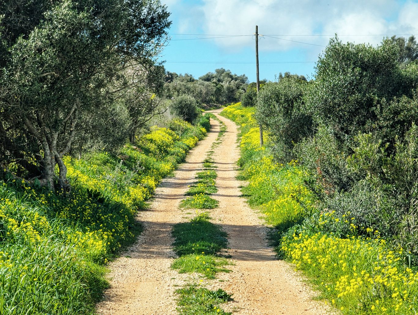 Portugal: Vom Fischerweg zur Via Algarviana